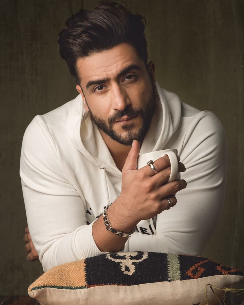 Aly Goni Bio, Age, Family, Girlfriend, Career, Height, Instagram, and Wiki